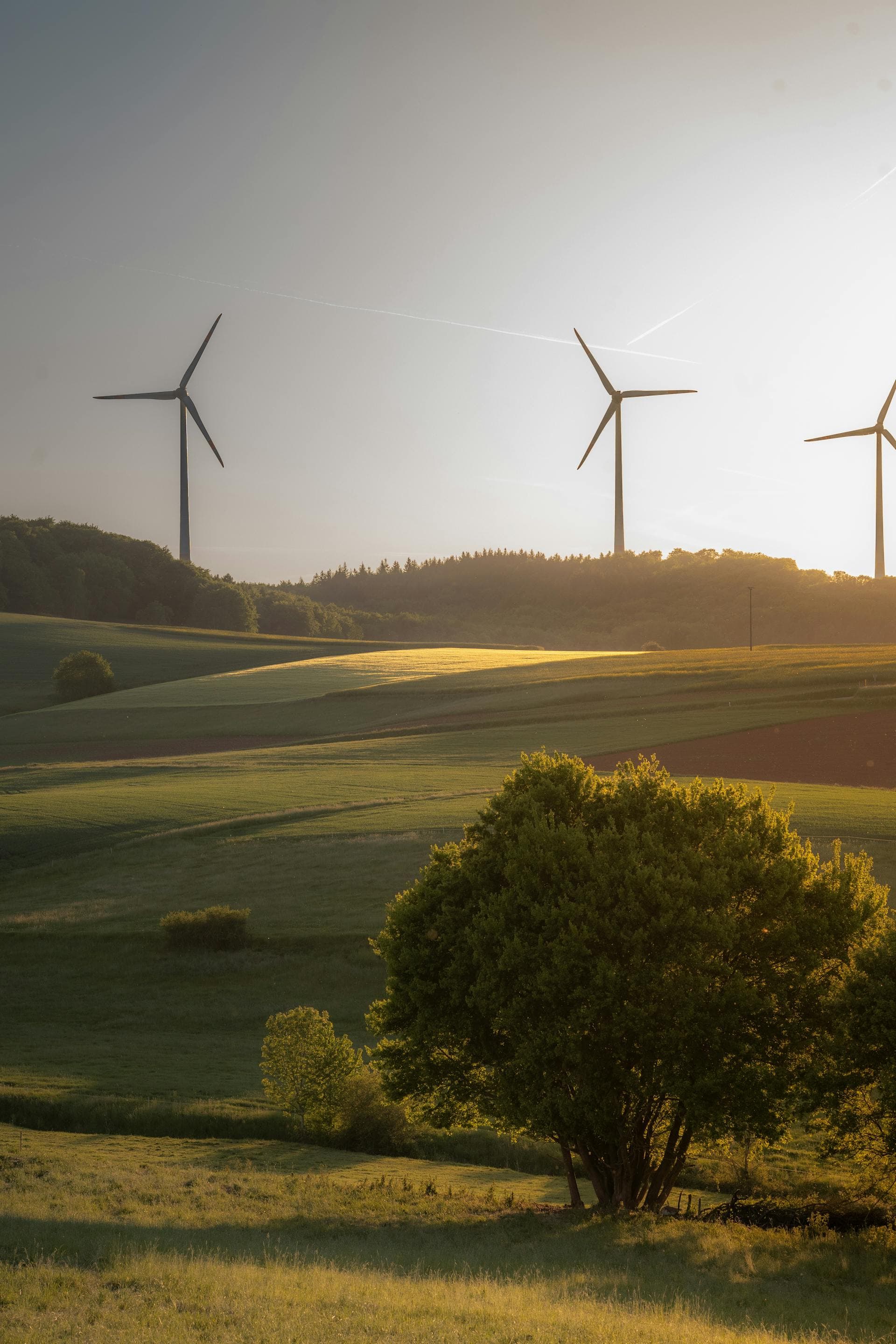 Wind turbines in a rural landscape at sunset